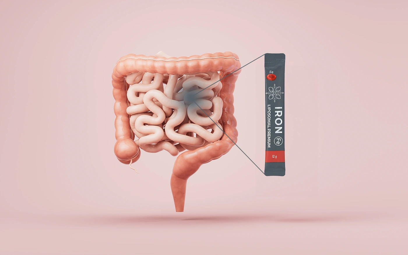 Кишечный тракт с железо банер