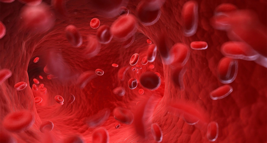 Симптомы дефицита железа в крови Симптомы дефицита железа в крови фото