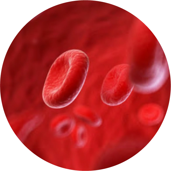 кровь кровь