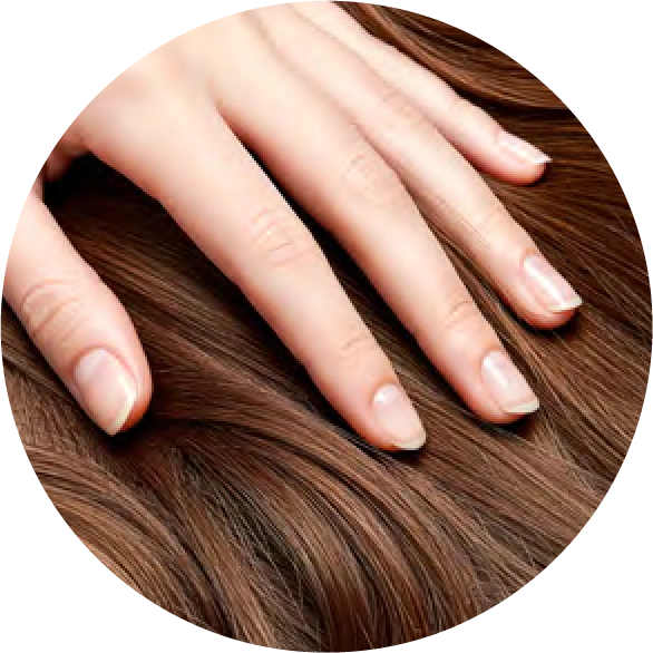 волосы и ногти волосы и ногти